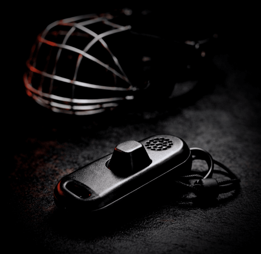 Clicker Training for Puppies